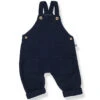 Aritz Short Overall In Blue-notte By 1+ In The Family