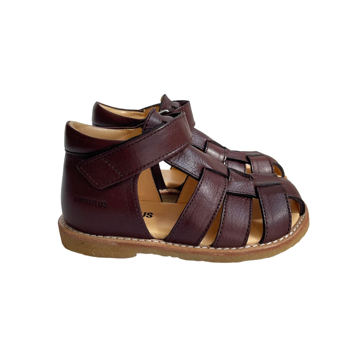 Fisherman Starter Sandals In Dark Brown (Wide Fit) By Angulus - Image 3