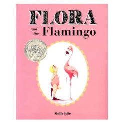 Flora And The Flamingo By Molly Idle