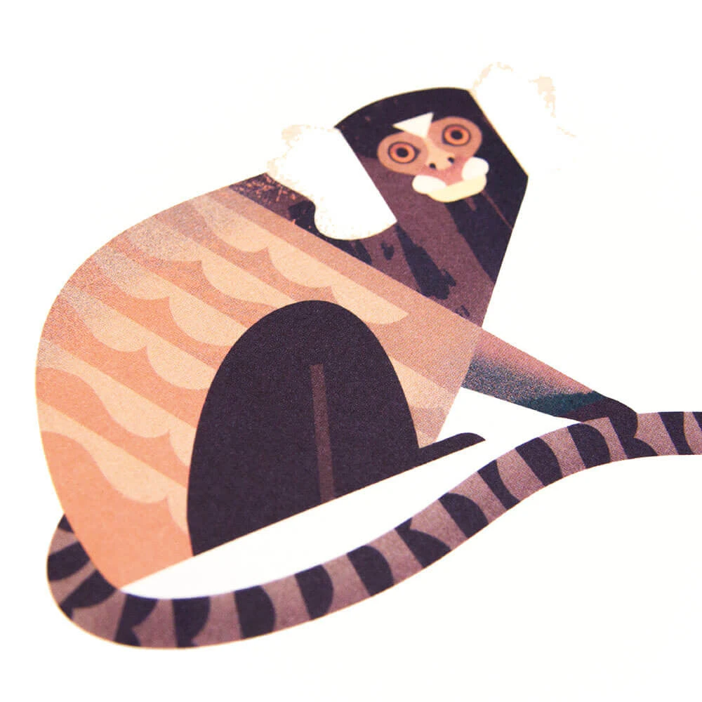 Mad About Monkeys By Owen Davey - Image 2