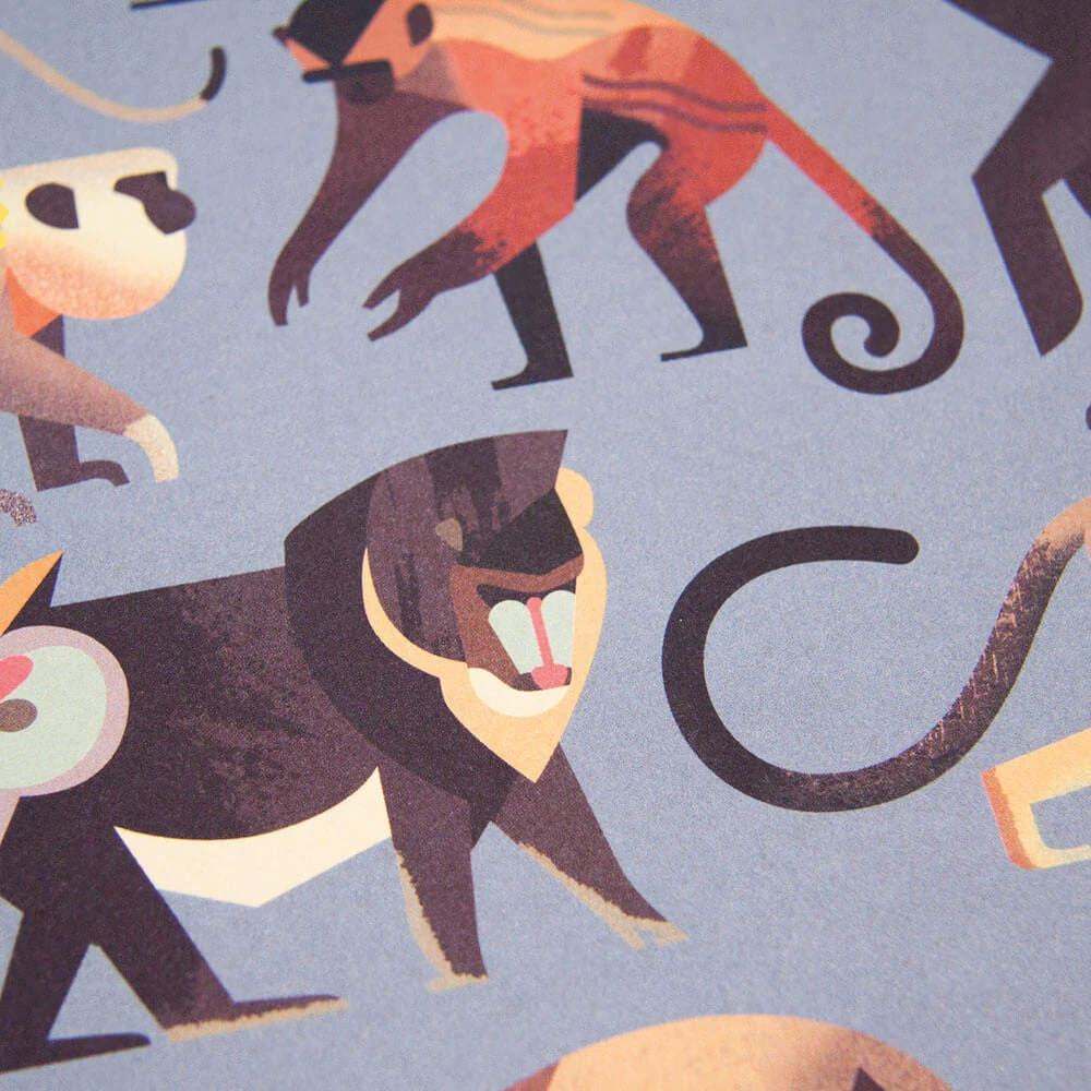 Mad About Monkeys By Owen Davey - Image 4