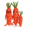 Mr And Mrs Carrot Felt Toy By Amica