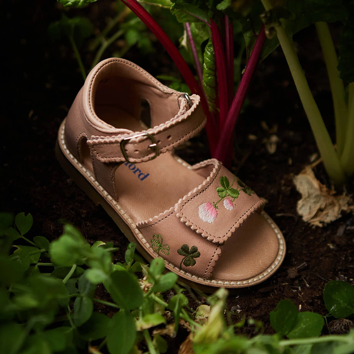 Uniqua Blooming Clover Scallop Velcro Sandal In Latte By Petit Nord - Image 7