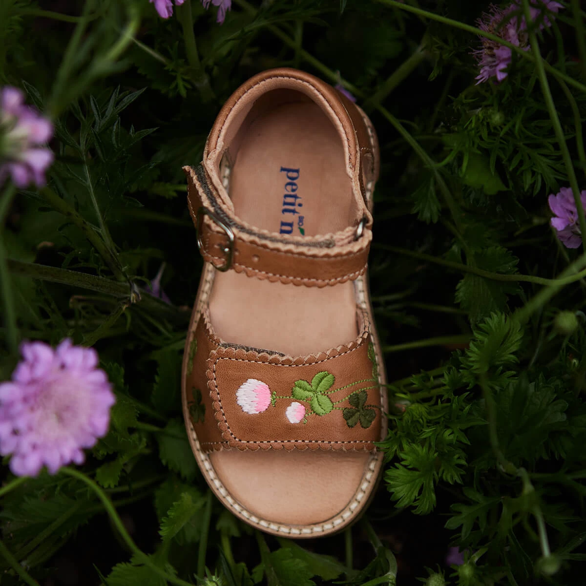Uniqua Blooming Clover Scallop Velcro Sandal In Latte By Petit Nord - Image 5