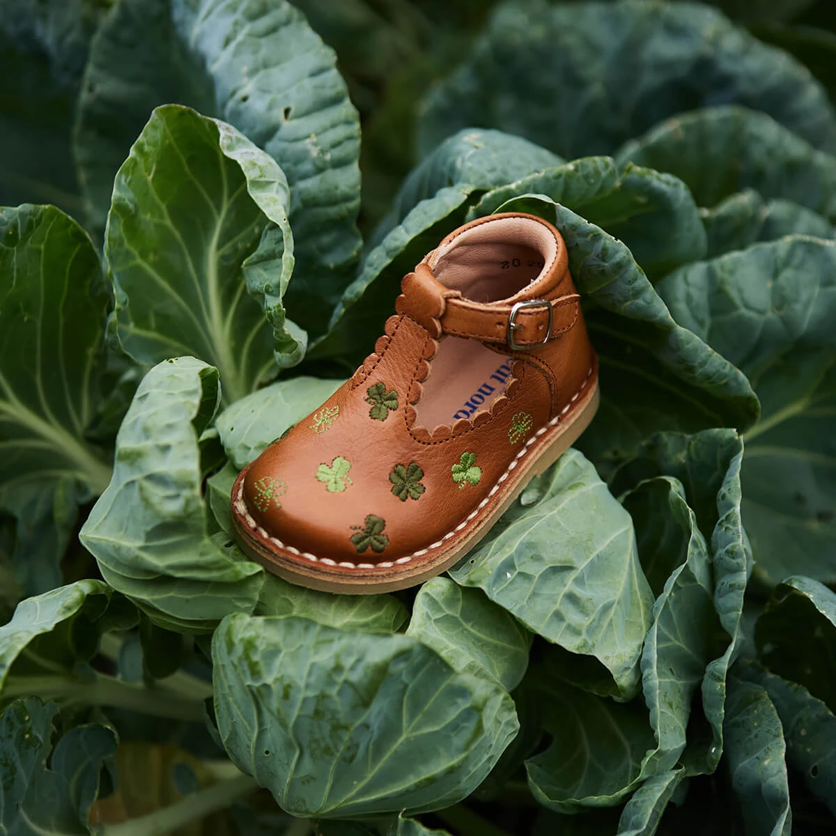 Uniqua Clover Scallop T Bar Starter Shoes In Cognac By Petit Nord - Image 13