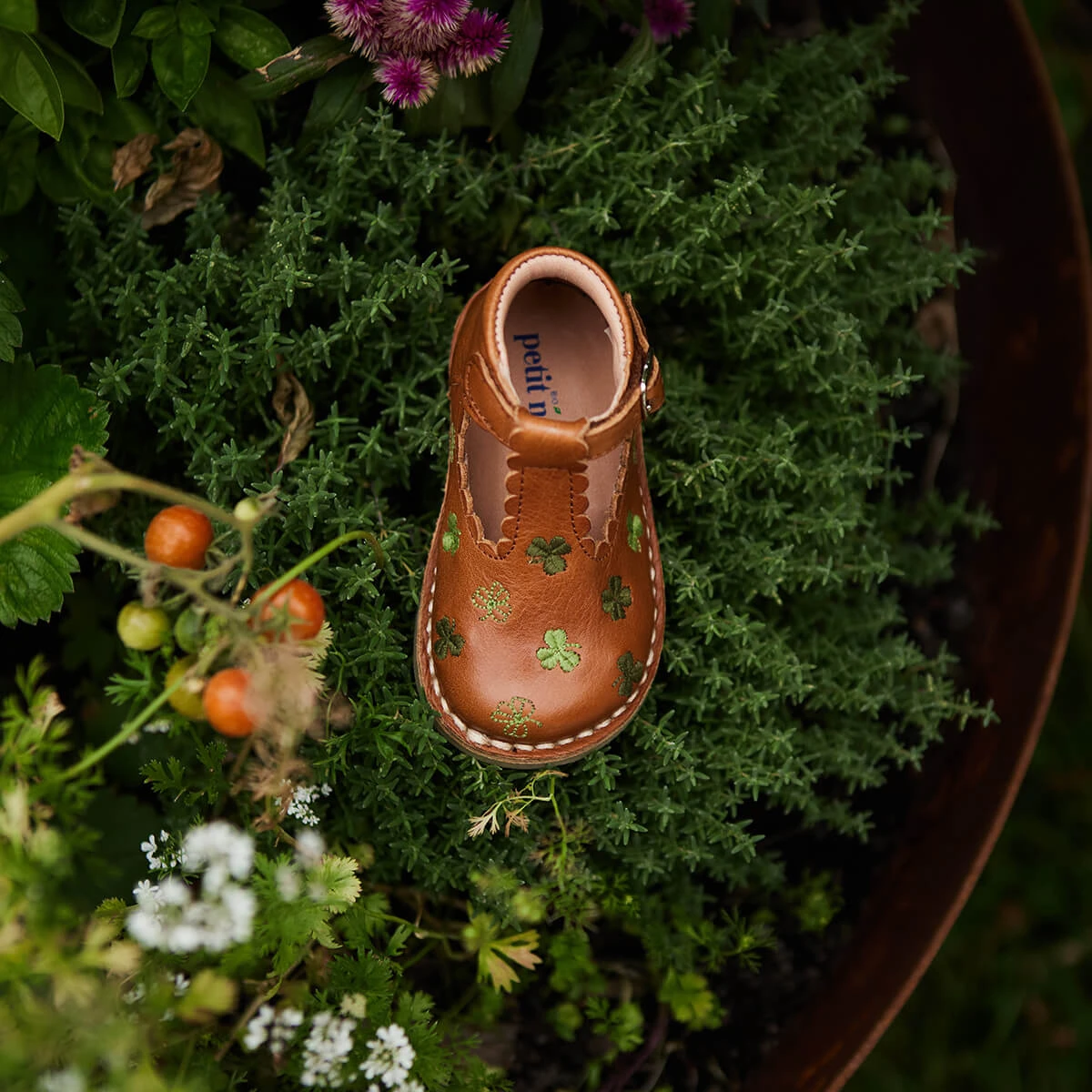 Uniqua Clover Scallop T Bar Starter Shoes In Cognac By Petit Nord - Image 12