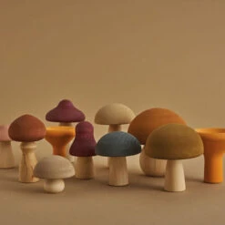 Mushrooms Set By Raduga Grëz