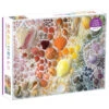 Rainbow Seashells 2000 Piece Puzzle By Galison