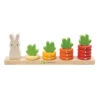 Counting Carrots By Tender Leaf Toys