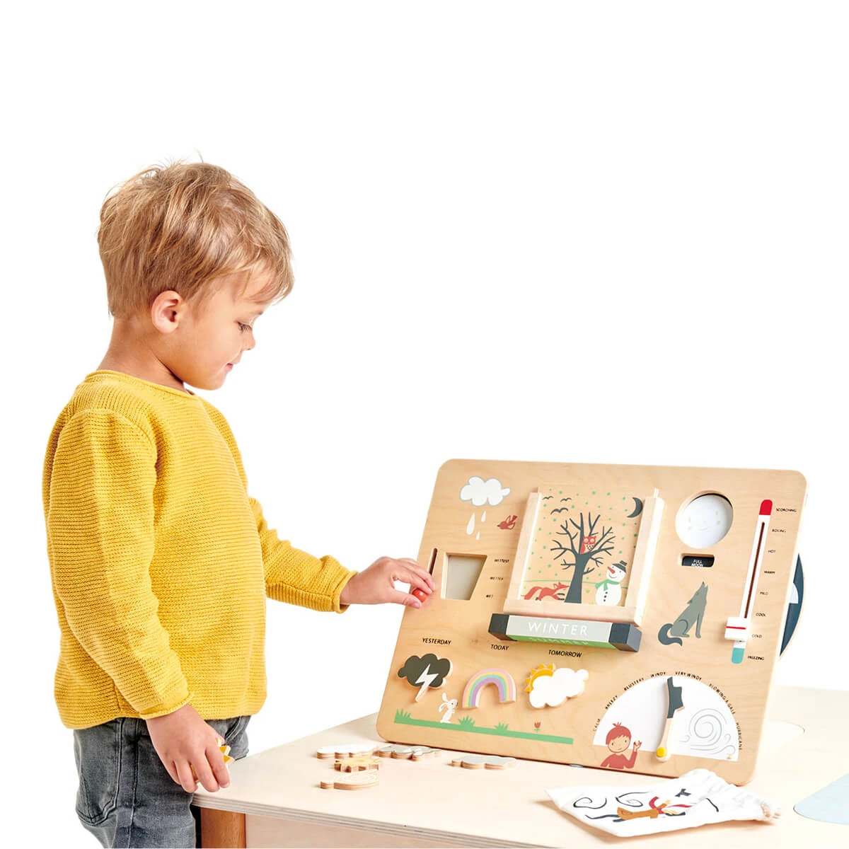 Weather Watch By Tender Leaf Toys - Image 6