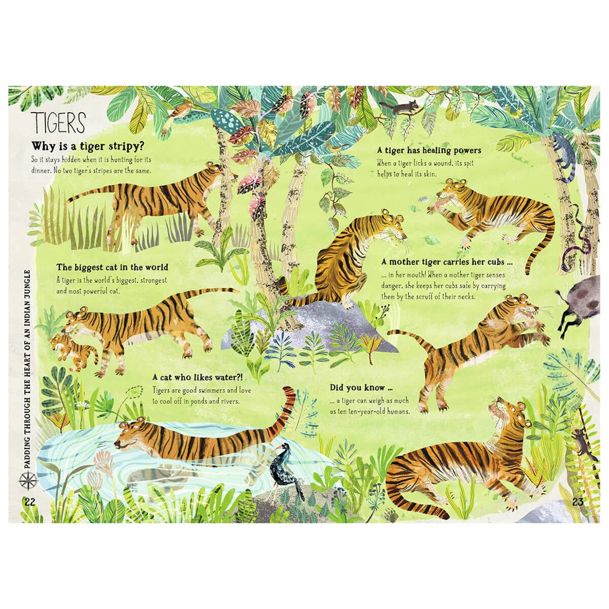 The Big Book Of Beasts By Yuval Zommer & Barbara Taylor - Image 5