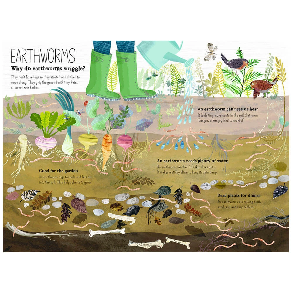 The Big Book Of Bugs By Yuval Zommer & Barbara Taylor - Image 8