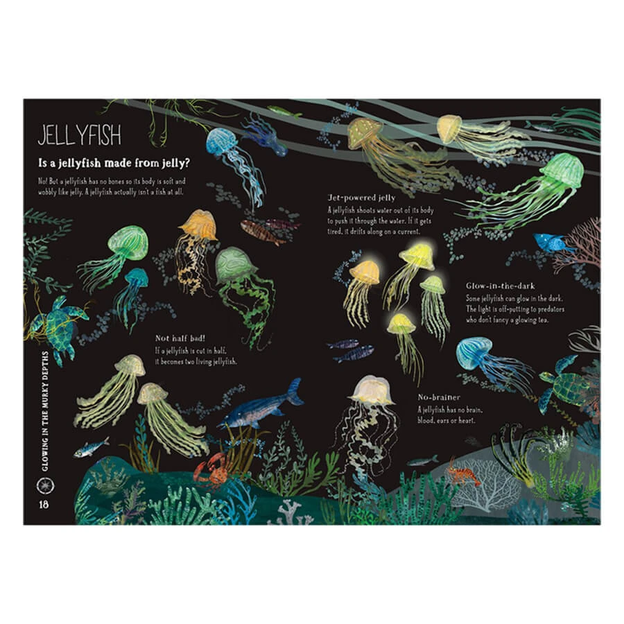 The Big Book Of The Blue By Yuval Zommer - Image 2