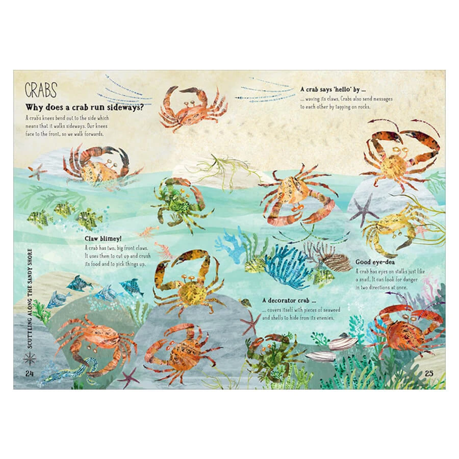 The Big Book Of The Blue By Yuval Zommer - Image 3