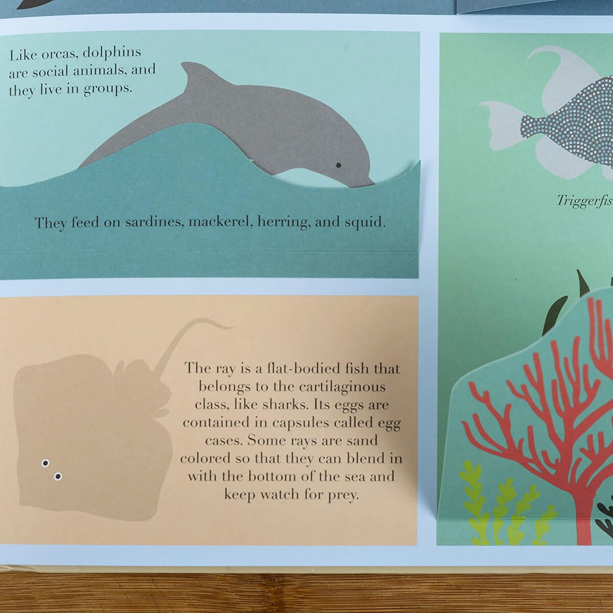 At The Sea By Emma Guiliani - Image 11