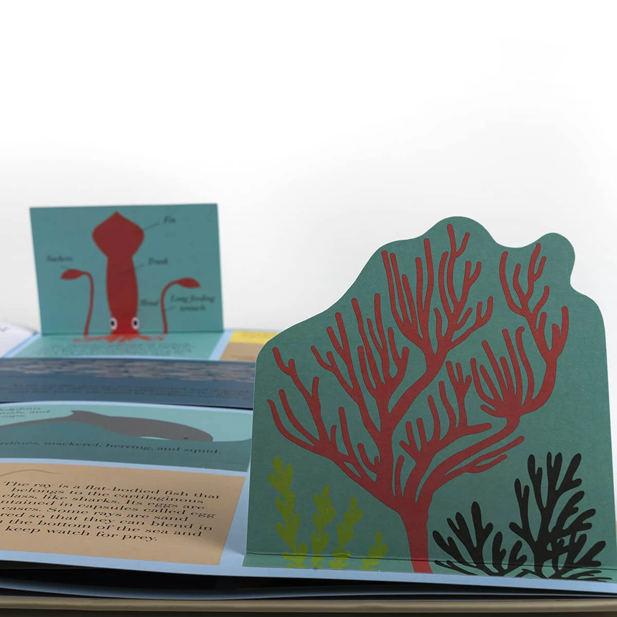 At The Sea By Emma Guiliani - Image 12