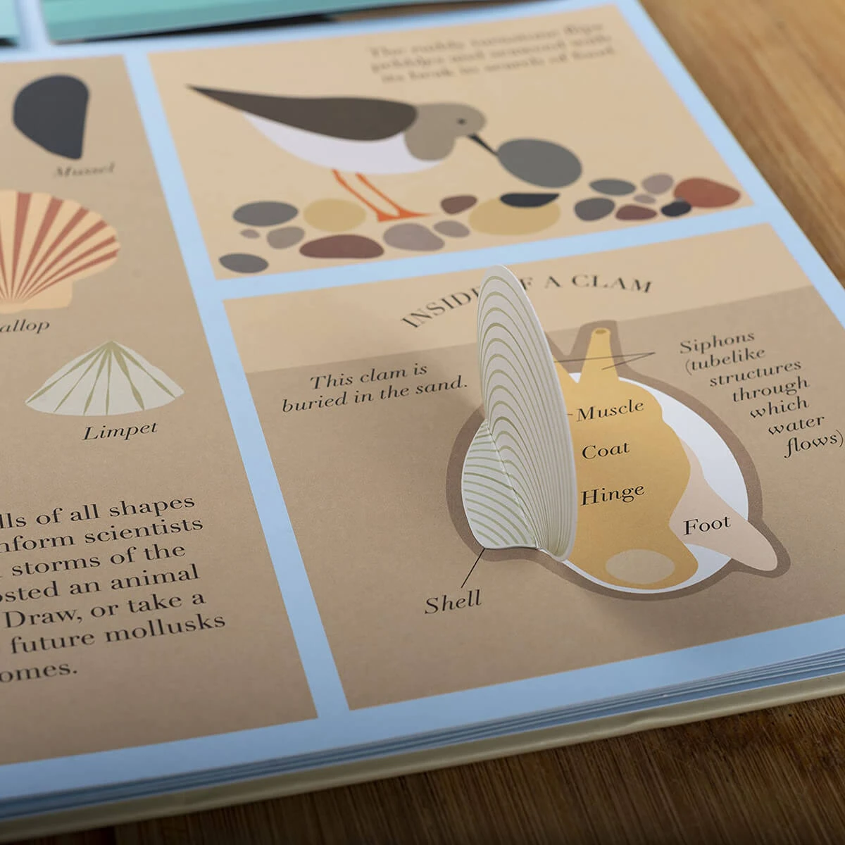 At The Sea By Emma Guiliani - Image 3