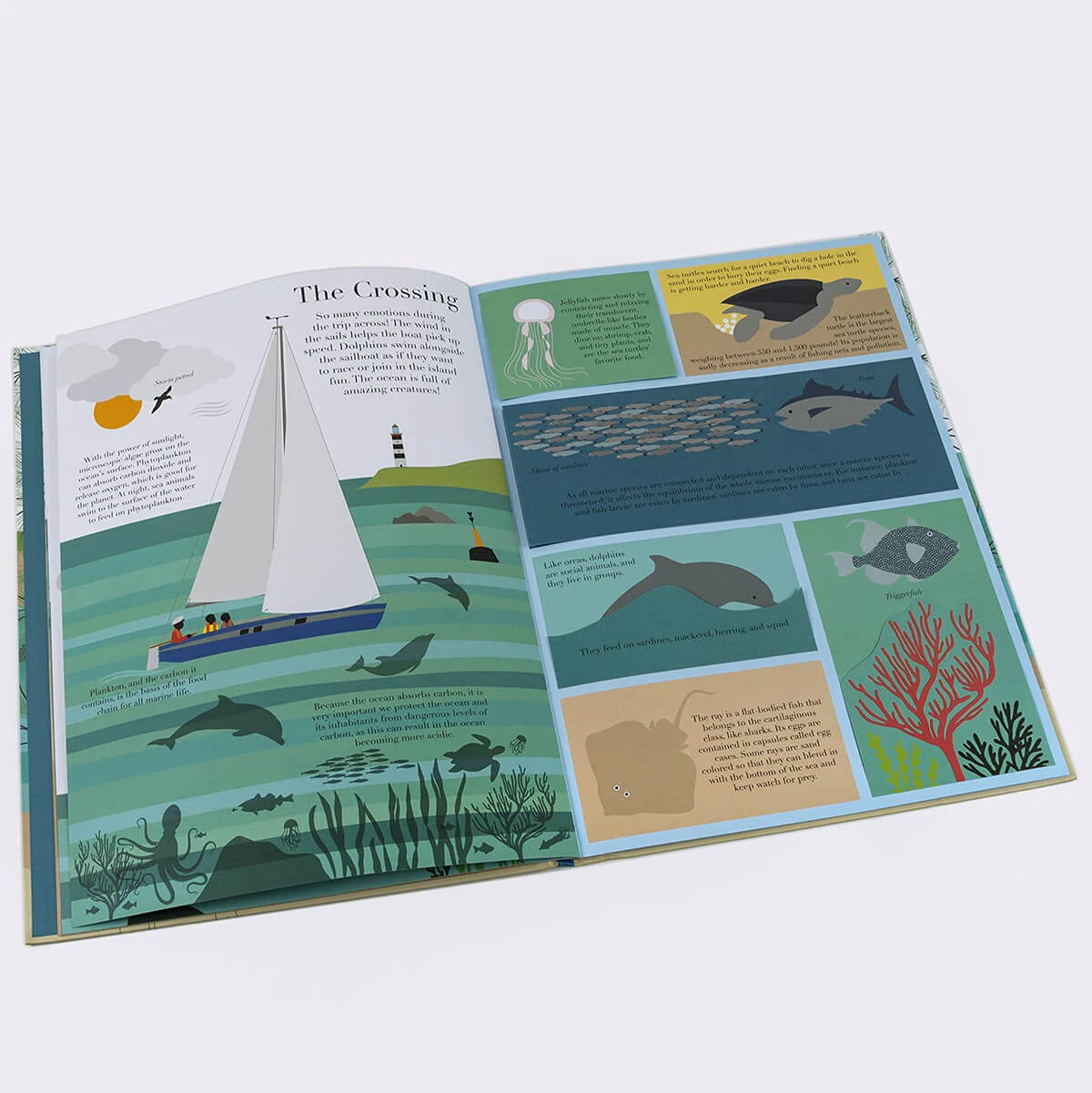 At The Sea By Emma Guiliani - Image 8