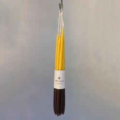 8 Celebration Extra Long Double-Dipped Birthday Candles In By Wax Atelier