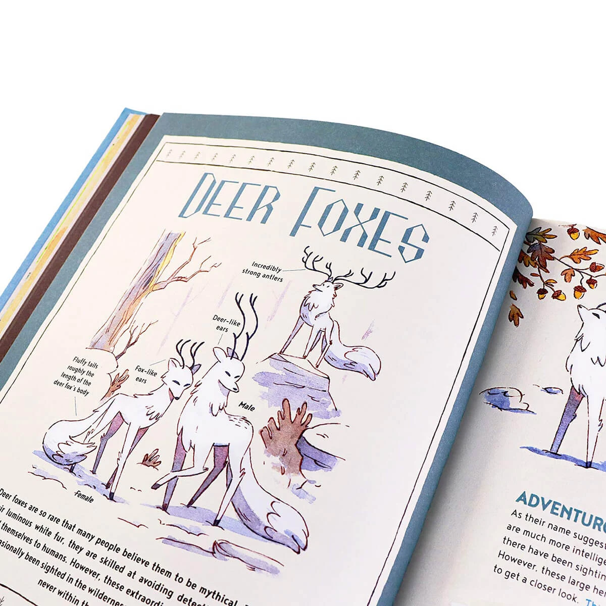 Hilda's Book Of Beasts And Spirits By Emily Hibbs, Jason Chan & Sapo Lendário - Image 5