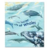 The Secret Life Of Whales By Rena Ortega