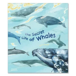 The Secret Life Of Whales By Rena Ortega