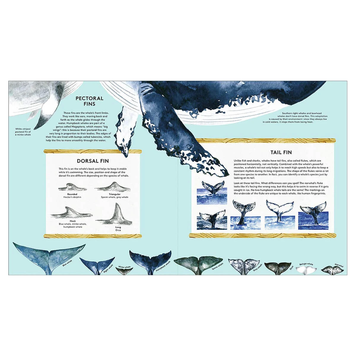 The Secret Life Of Whales By Rena Ortega - Image 6