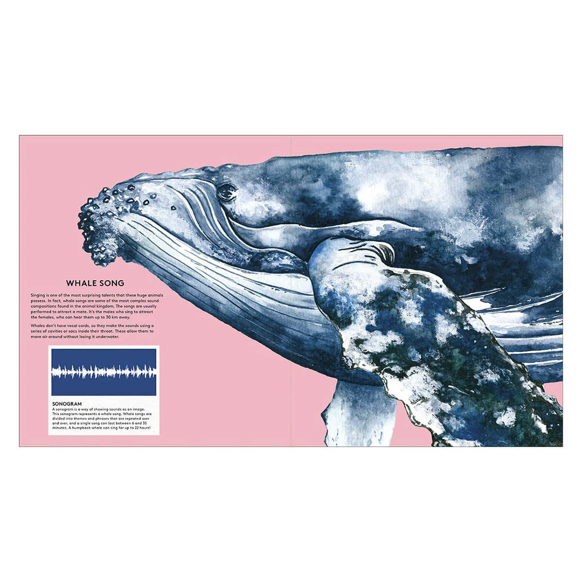 The Secret Life Of Whales By Rena Ortega - Image 3