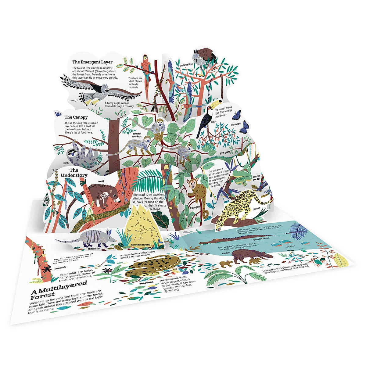 Ultimate Spotlight: Rainforest Animals By Sandra Laboucarie & Emilie Lapeyre - Image 2